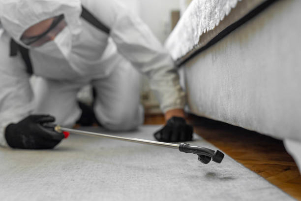 Professional Mosquito Control technician working in Farley, KY
