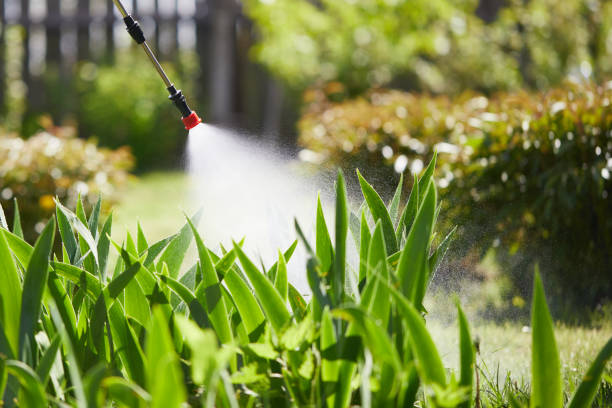 24/7 Emergency Mosquito Control experts in Farley, KY